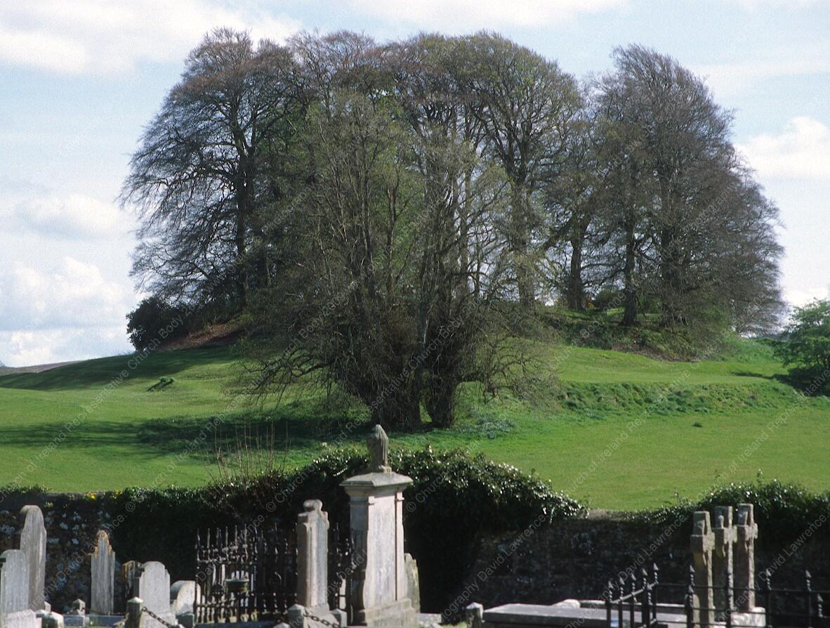 C003 - Hill-fort in the palace demesne