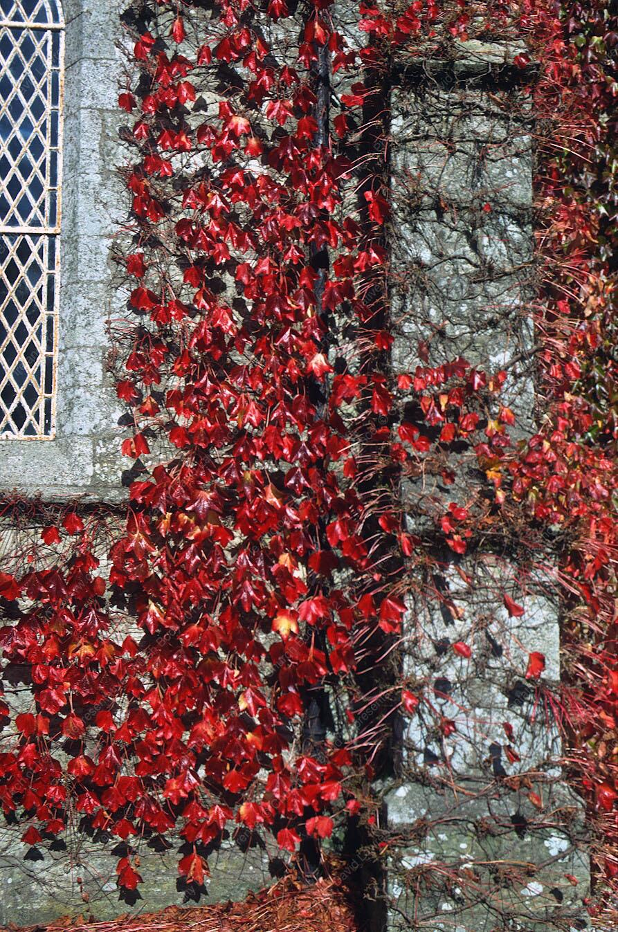 C002 - Exterior, detail